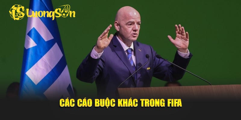 Các cáo buộc khác trong FIFA