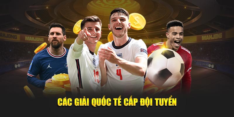 Các giải quốc tế cấp đội tuyển