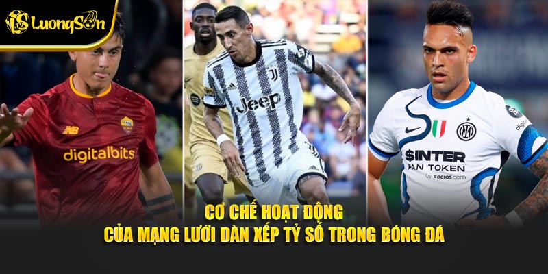 Cơ chế hoạt động của mạng lưới dàn xếp tỷ số trong bóng đá