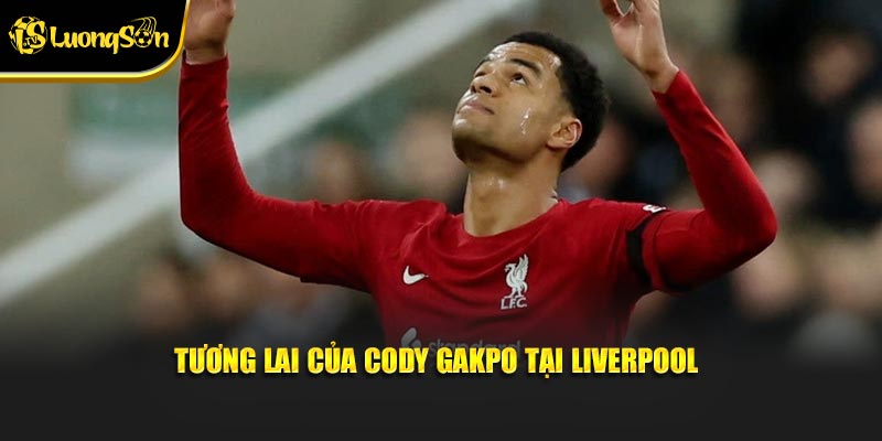 Tương lai của Cody Gakpo tại Liverpool